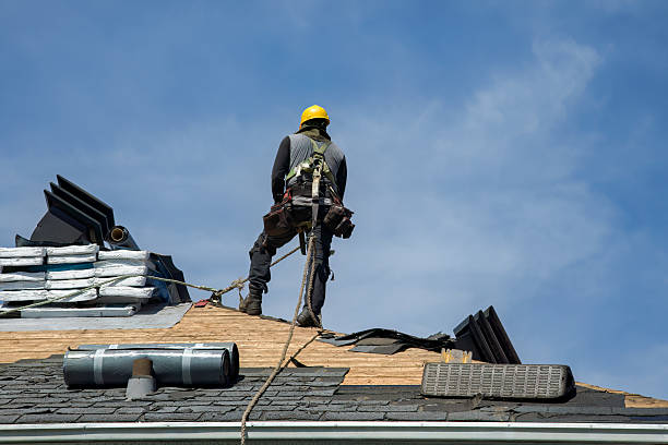 Professional Flat Roof Repair technician working in Niota, IL